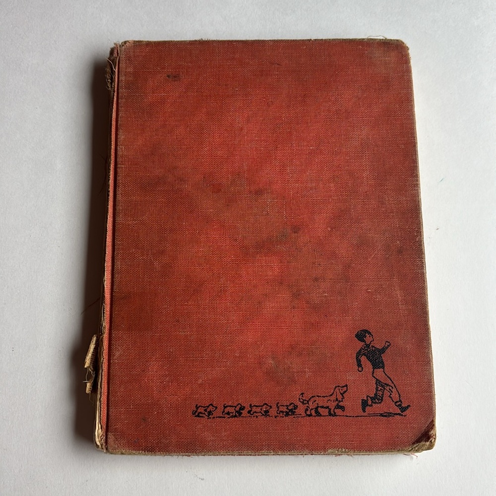 Rare Vintage Too Many Girls Hardcover Book By Molly Cone